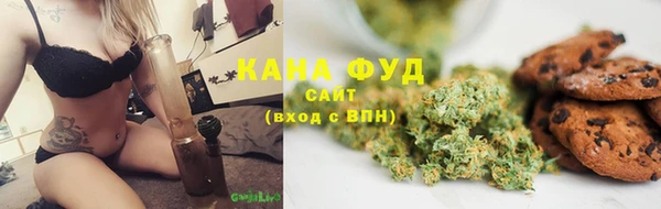 стаф Козловка