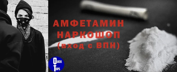 стаф Козловка