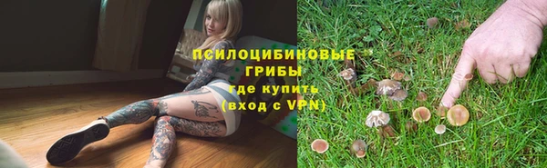 прущая мука Киреевск