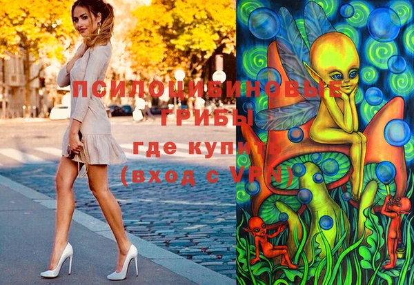 стаф Козловка
