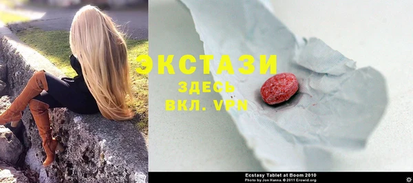 стаф Козловка