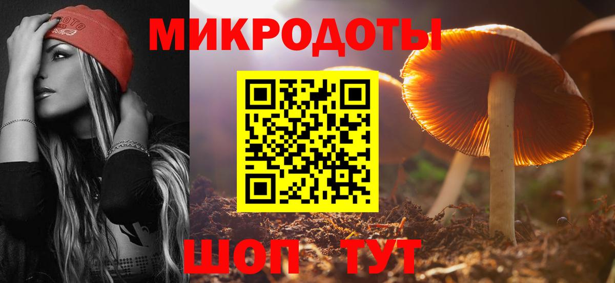 Псилоцибиновые грибы Cubensis Мыски